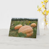 かぼちゃ畑 カード (黄色い花)