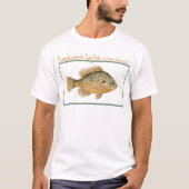 かぼちゃ種のサンフィッシュカジュアルシャツ Tシャツ (正面)