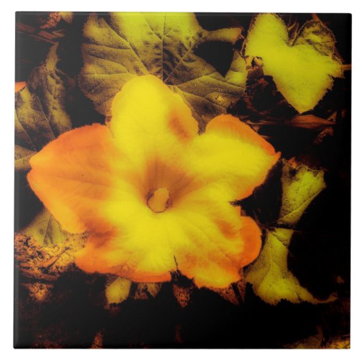 かぼちゃ花 タイル (正面)