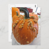 かぼちゃ ポストカード (正面/裏面)