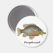 かぼちゃ マグネット (正面/裏面)