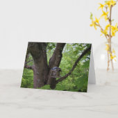 かみ傷を食べるために捜すこと カード (黄色い花)