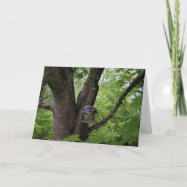 かみ傷を食べるために捜すこと カード