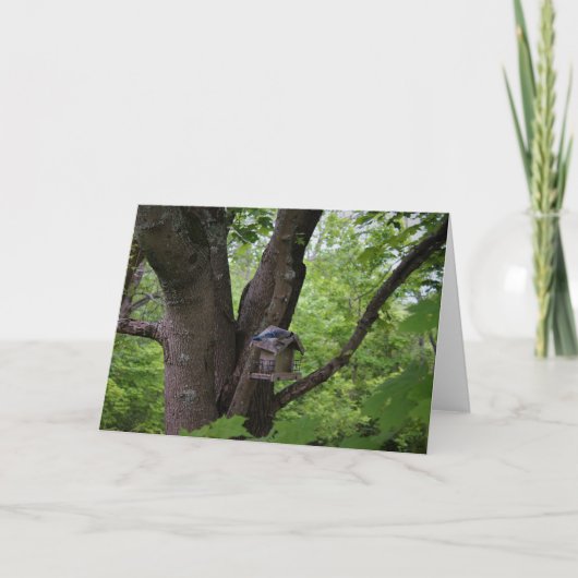 かみ傷を食べるために捜すこと カード (正面)