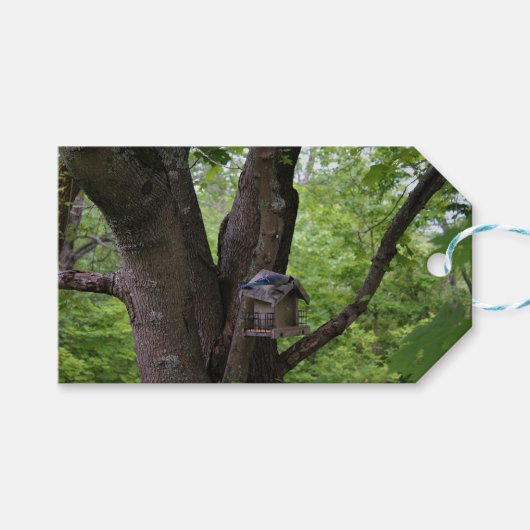 かみ傷を食べるために捜すこと ギフトタグ (正面(横))