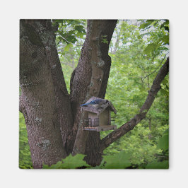 かみ傷を食べるために捜すこと マグネット