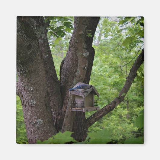 かみ傷を食べるために捜すこと マグネット (正面)