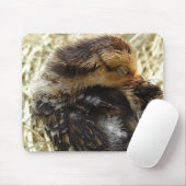 かゆい可愛得らしいベビーチキン マウスパッド (マウス)