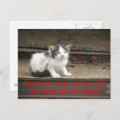 かゆい子猫 ポストカード (正面/裏面)