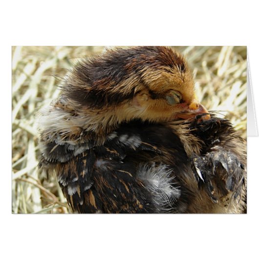 かゆい得だ (正面横)