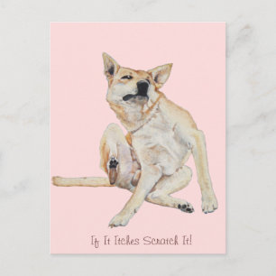 かゆい犬がスローガ絵画ンでひっかくおもしろいこと ポストカード