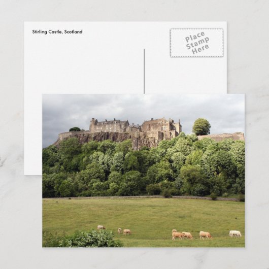 かゆみ城の羊 ポストカード (正面/裏面)