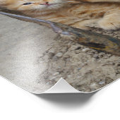 かゆみ フォトプリント            (角)