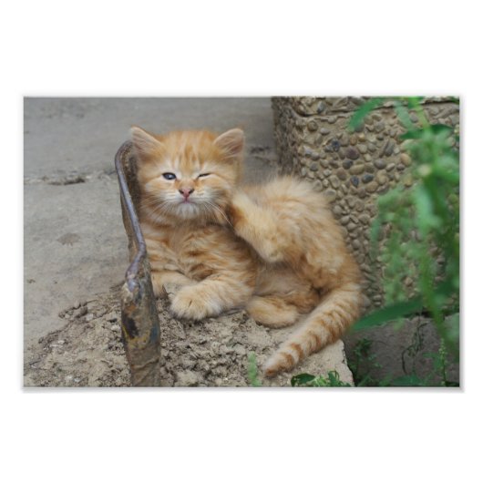 かゆみ フォトプリント            (正面)