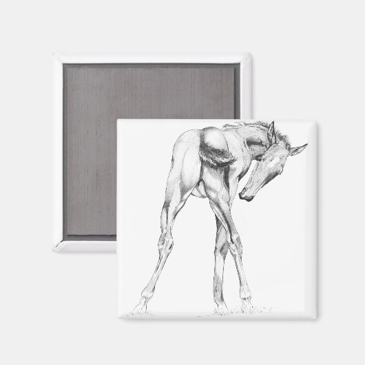 かゆみ マグネット (正面/裏面)