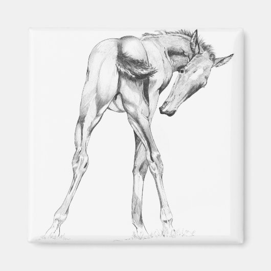 かゆみ マグネット (正面)