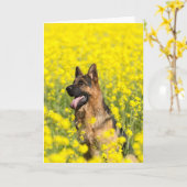 からしの種子の挨拶状のジャーマン・シェパード カード (黄色い花)