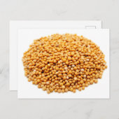 からし種 ポストカード (正面/裏面)