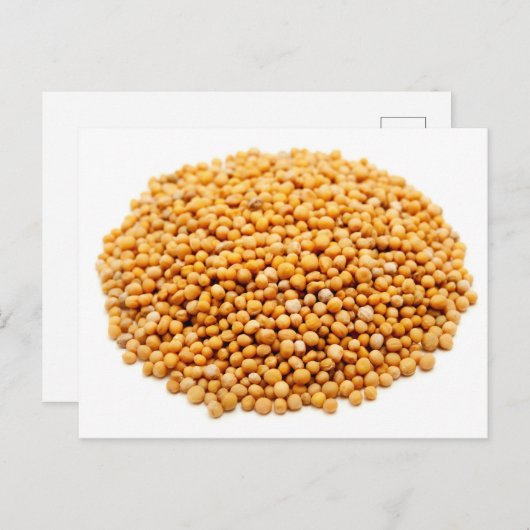 からし種 ポストカード (正面/裏面)