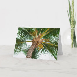 からのヤシの木次 カード