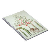 からの花そしてフルーツの共通のアスパラガス、「Ho ノートブック (右側)