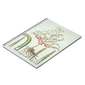 からの花そしてフルーツの共通のアスパラガス、「Ho ノートブック (左側)