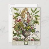 `からの1月、花の12か月 ポストカード (正面/裏面)