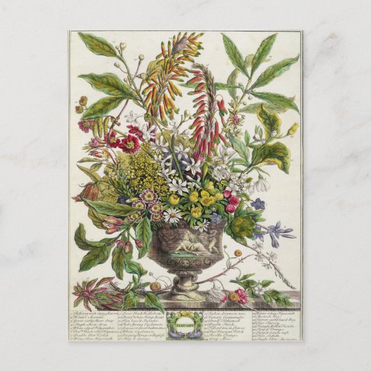 `からの1月、花の12か月 ポストカード (正面)