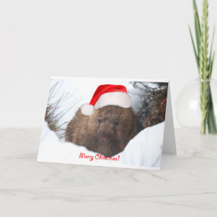 からのwombatのメリークリスマス シーズンカード