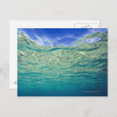 ～から見澄んられる局所海面 ポストカード (正面/裏面)