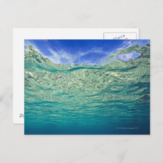 ～から見澄んられる局所海面 ポストカード (正面/裏面)