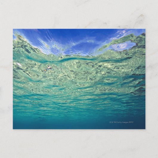 ～から見澄んられる局所海面 ポストカード (正面)