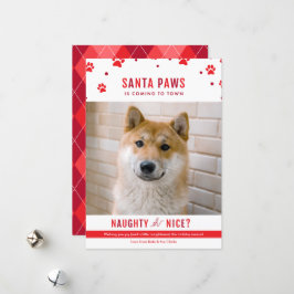 かわいいいけなか素敵な犬のクリスマスフォト シーズンカード