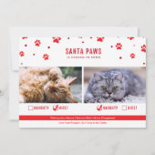 かわいいいけなか素敵な2匹の猫のクリスマスフォト シーズンカード (正面)