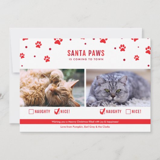 かわいいいけなか素敵な2匹の猫のクリスマスフォト シーズンカード (正面)