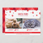 かわいいいけなか素敵な2匹の猫のクリスマスフォト シーズンカード (正面/裏面)