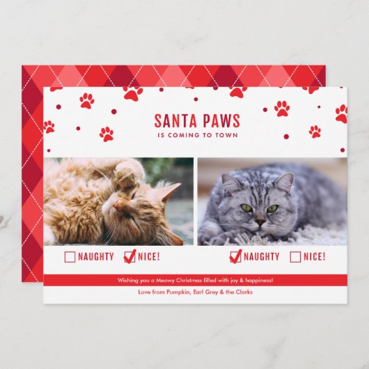 かわいいいけなか素敵な2匹の猫のクリスマスフォト シーズンカード (正面/裏面)