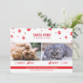 かわいいいけなか素敵な2匹の猫のクリスマスフォト シーズンカード (スタンド正面)