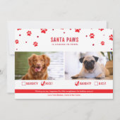 かわいいいけなか素敵な2犬のクリスマスフォト シーズンカード (正面)