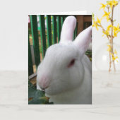かわいいうさぎ カード (黄色い花)