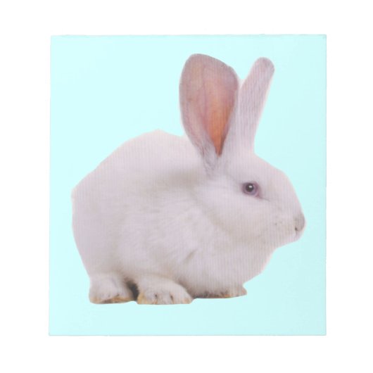 かわいいうさぎ ノートパッド (正面)