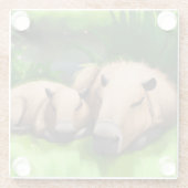 かわいいおもしろいおむつキャピバーズバイザポンドズ ガラスコースター (裏面)