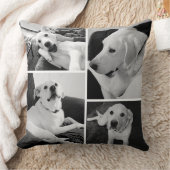 かわいいおもしろいと白黒の犬の写真 クッション (ブランケット)