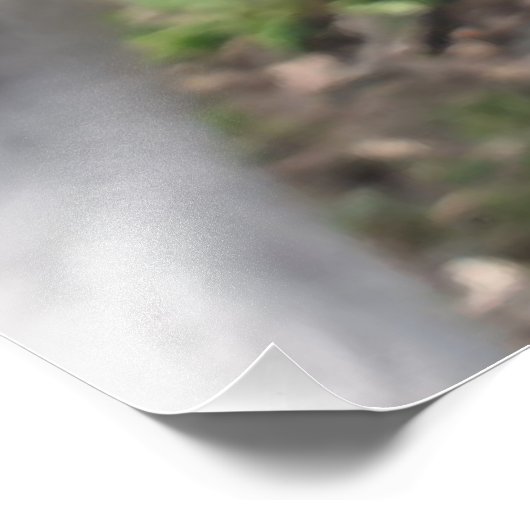 かわいいおもしろいカンガルー教育動物ウォールアート フォトプリント            (角)