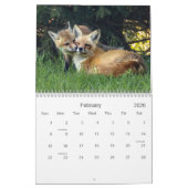かわいいおもしろいキツネカレンダー カレンダー (2月 2026)