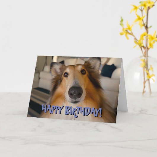 かわいいおもしろいコリー誕生日カード カード (黄色い花)
