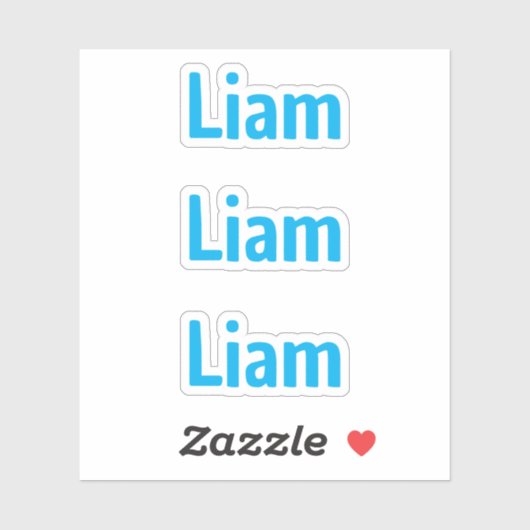 かわいいおもしろいブルーキッズ名ステッカー シール (シート)