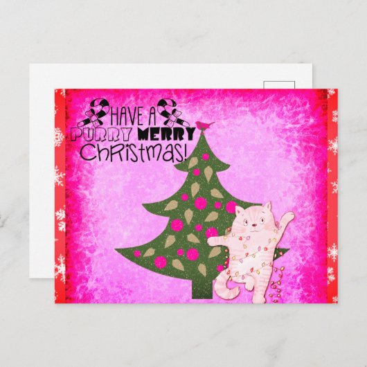 かわいいおもしろいメリークリスマス猫 ポストカード (正面/裏面)
