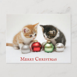 かわいいおもしろいメリークリスマス猫 ポストカード