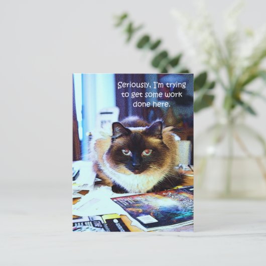 かわいいおもしろい動物の子猫ジョーク ポストカード (スタンド正面)